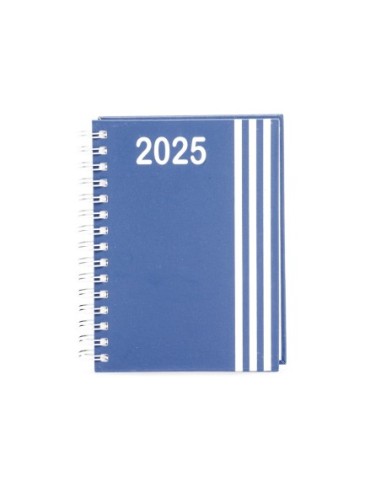 Agenda Diária 2024 Wire-o