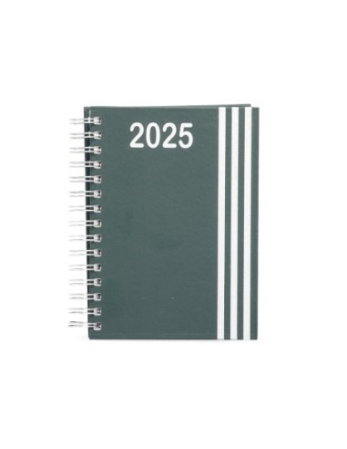 Agenda Diária 2024 Wire-o