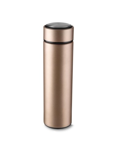 Garrafa Inox 450 ml com Infusor