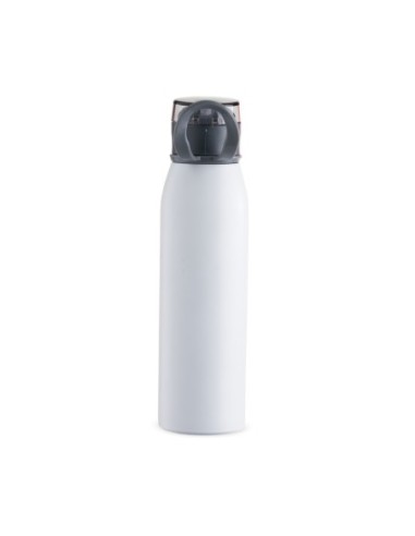 Garrafa Inox 650ml