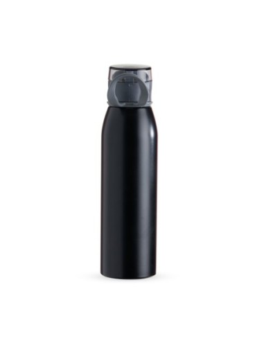 Garrafa Inox 650ml